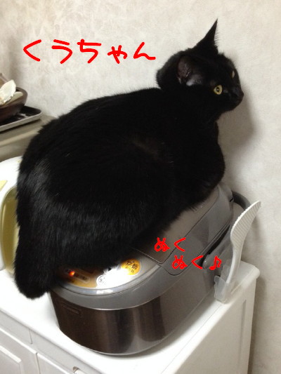 IMG_6852.1_1.jpg