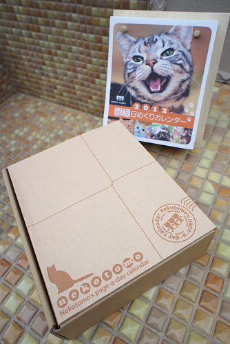 box1.jpg