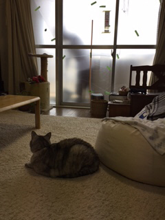 image1_3.jpeg